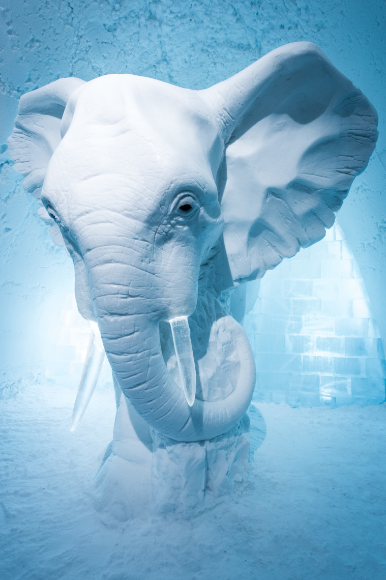Press release December 2015, ICEHOTEL,  Elephant in the Room design by  AnnaSofia Mååg (Sweden)