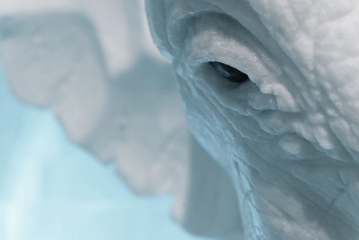 Detail of Betsy