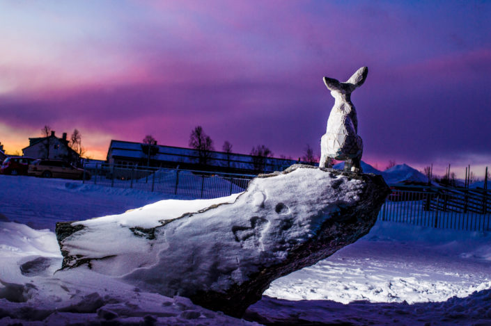 FORTIS LEPUS (back view / Kaamos light) photo: Asaf Kliger