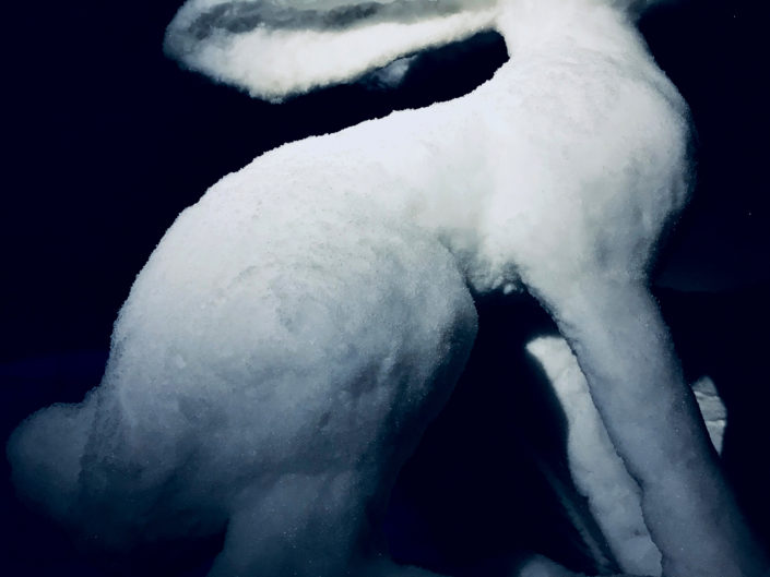 White Rabbit / detail