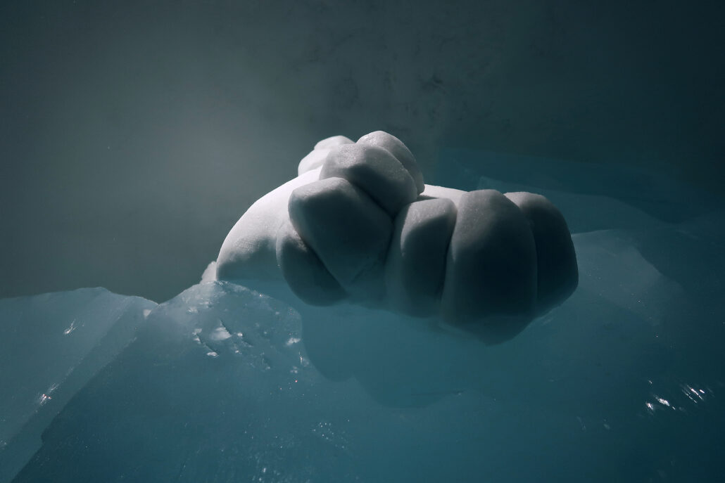 ICEHOTEL #30 / 2019 / CLEAR WATER / Paws