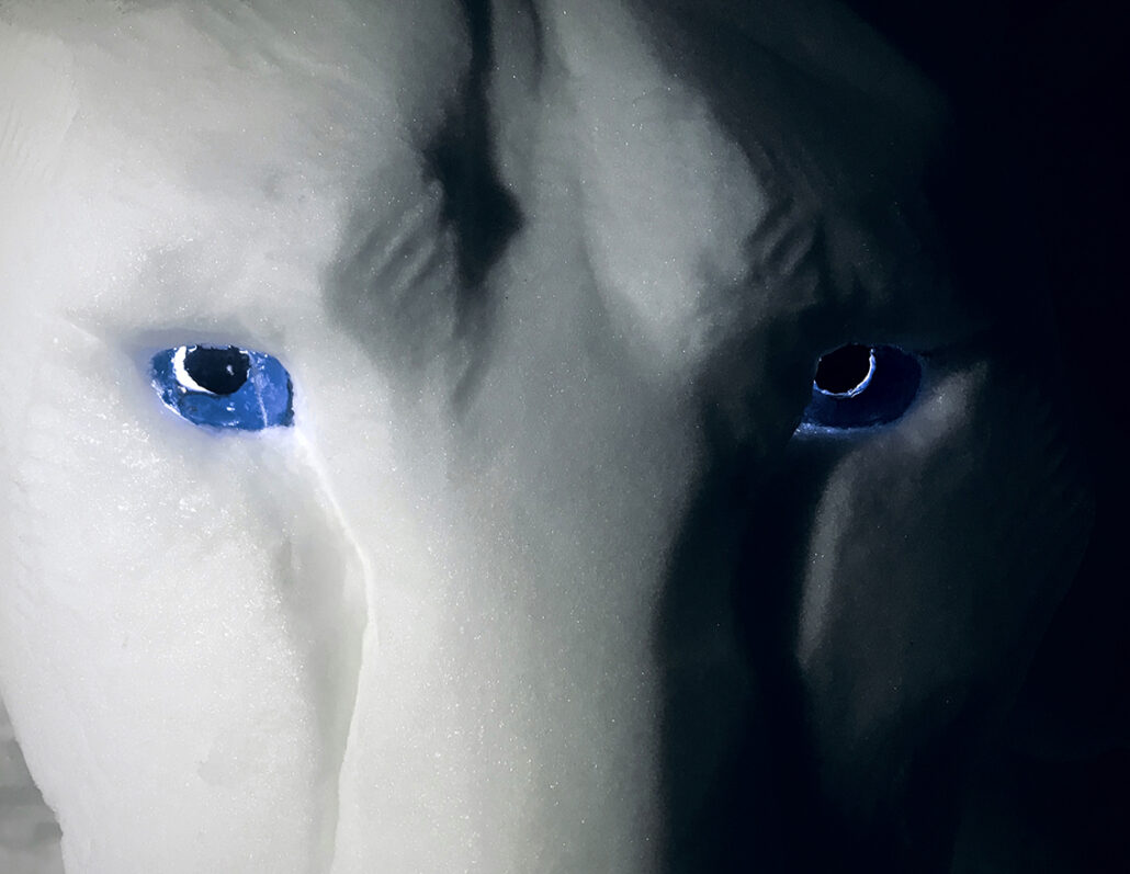 ICEHOTEL #30 / 2019 / CLEAR WATER / Lioness / detail